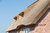 thatchedroof