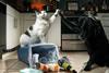high five