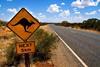 Kangaroo road sign