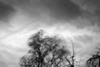 Storm desmond