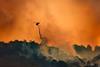 wildfire