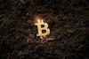 Bitcoin ground growing