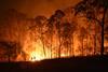 wildfire