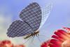 butterfly tech innovation