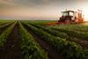 agriculture, farming