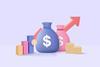 money bags growth