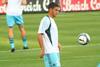 Ben Arfa Newcastle united