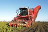 Tractor ploughing a field