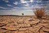 Libyan desert