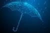 cyber insurance
