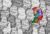 neurodiversity