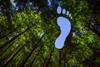 carbon footprint