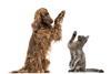 highfive (10)