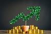 plant money arrow