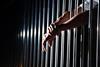jailed