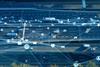 telematics