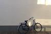 Bicycle crop
