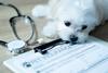 petinsurance