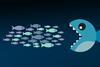 consolidation, fishes