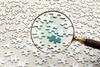 Magnifying glass