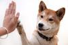 high five