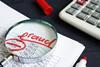 fraud magnify