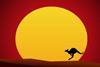 kangeroo in front of glowing orange sun