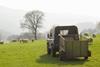 towedtrailer
