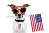 US flag dog glasses
