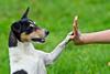 GettyImages-2163609588