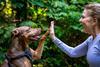 GettyImages-981844828