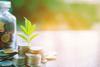 seed funding, business project