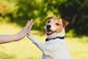 high five