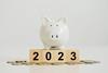 Piggy white money 2023