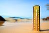 heat wave