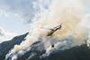bushfire 1