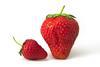 big and small, strawberry