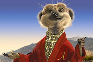Meerkats And Ego Massaging Psychology Of The New Market Agenda Insurance Times