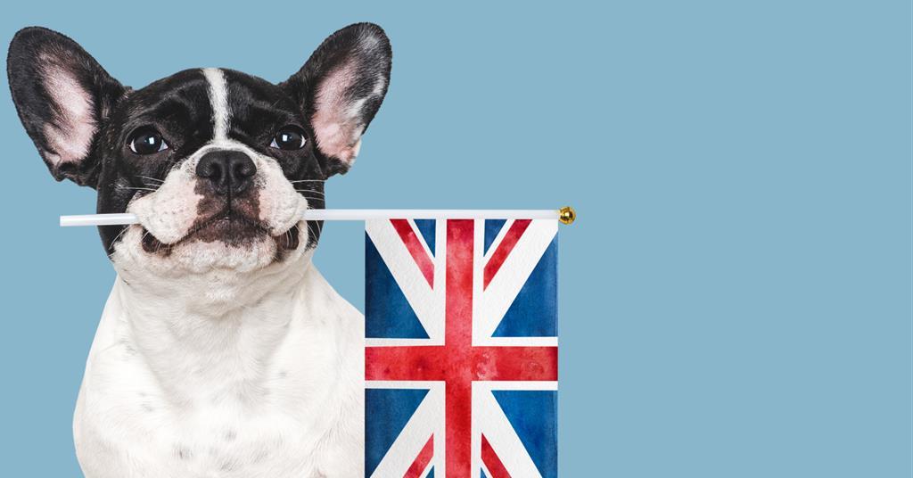 UK lags behind Europe on pet insurance claims satisfaction