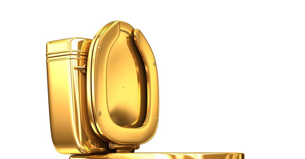 Insurers On Alert After Blenheim Palace 4 8m Gold Toilet Stolen Latest News Insurance Times