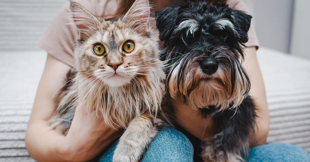 pet-insurance-premiums-see-modest-rise-insurance-times