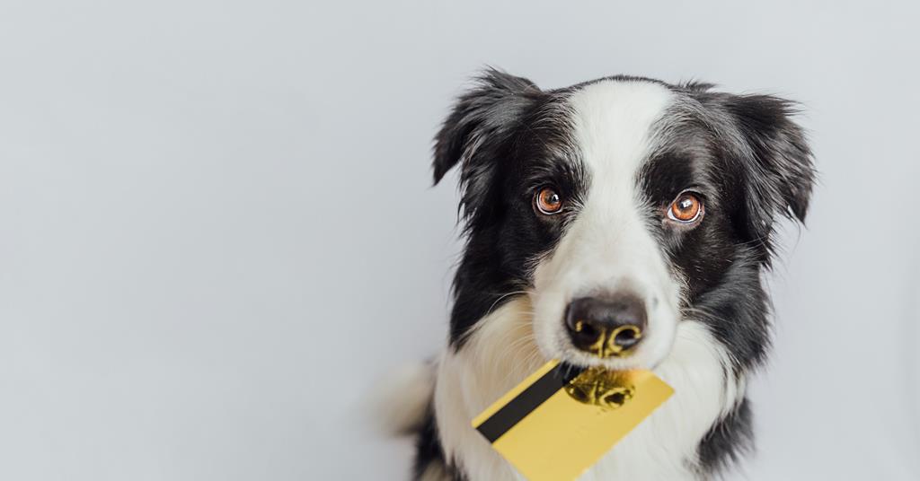 How CMA reforms could impact pet insurance pricing – Pearson Ham