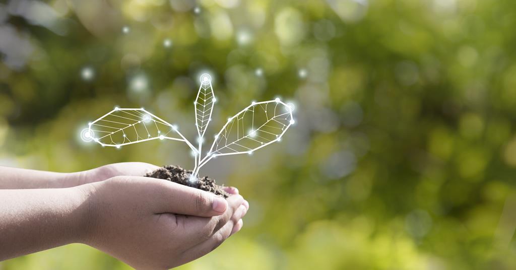 Artificial Labs raises £33m funding round to grow globally