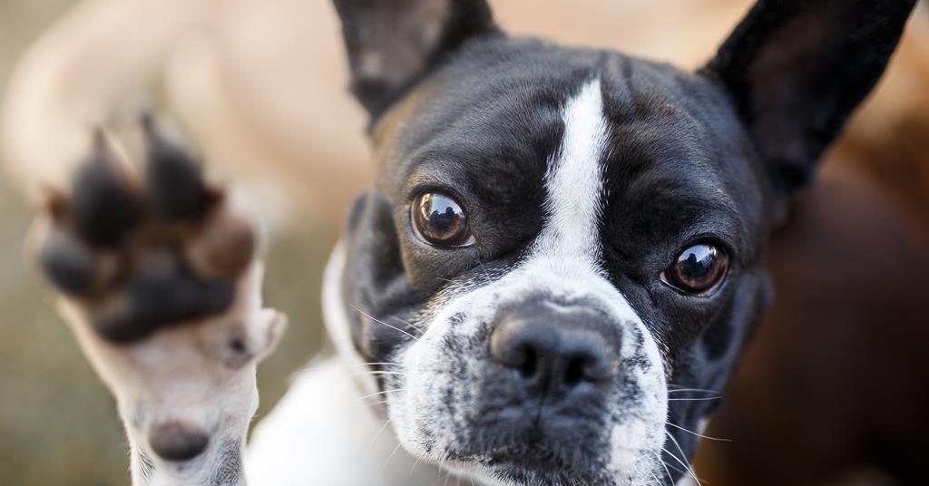 High Five: Catch up on the biggest stories this week