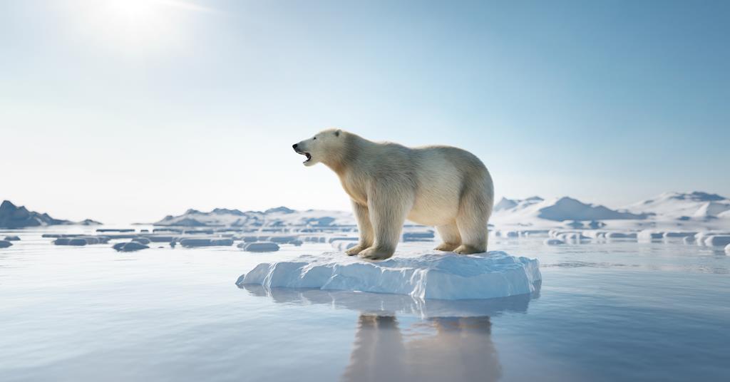 Clear Group commits to reducing carbon footprint by 30% - Vimarsana News