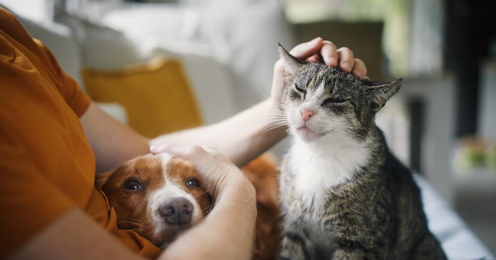 Pets at Home enters insurance market via Compare the Market