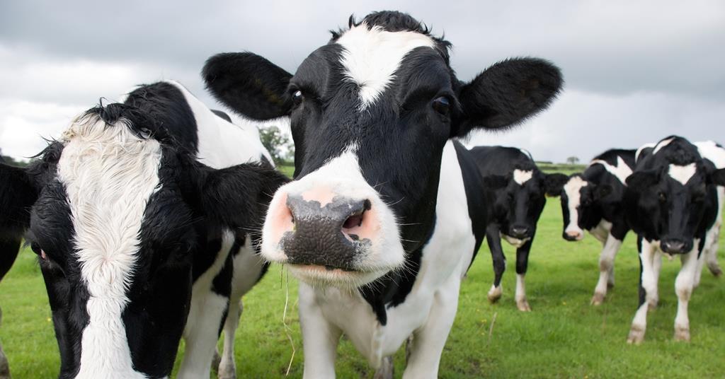 Brown and Brown partner with MGA to offer agricultural cover