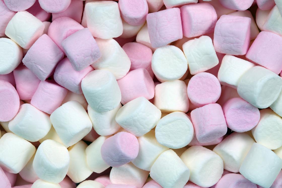 Insurtech Marshmallow launches van proposition widening core market proposition Insurance Times