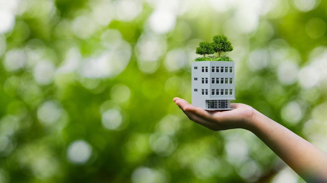 Markerstudy launches sustainability project to grow climate resilience ...