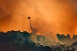 wildfire